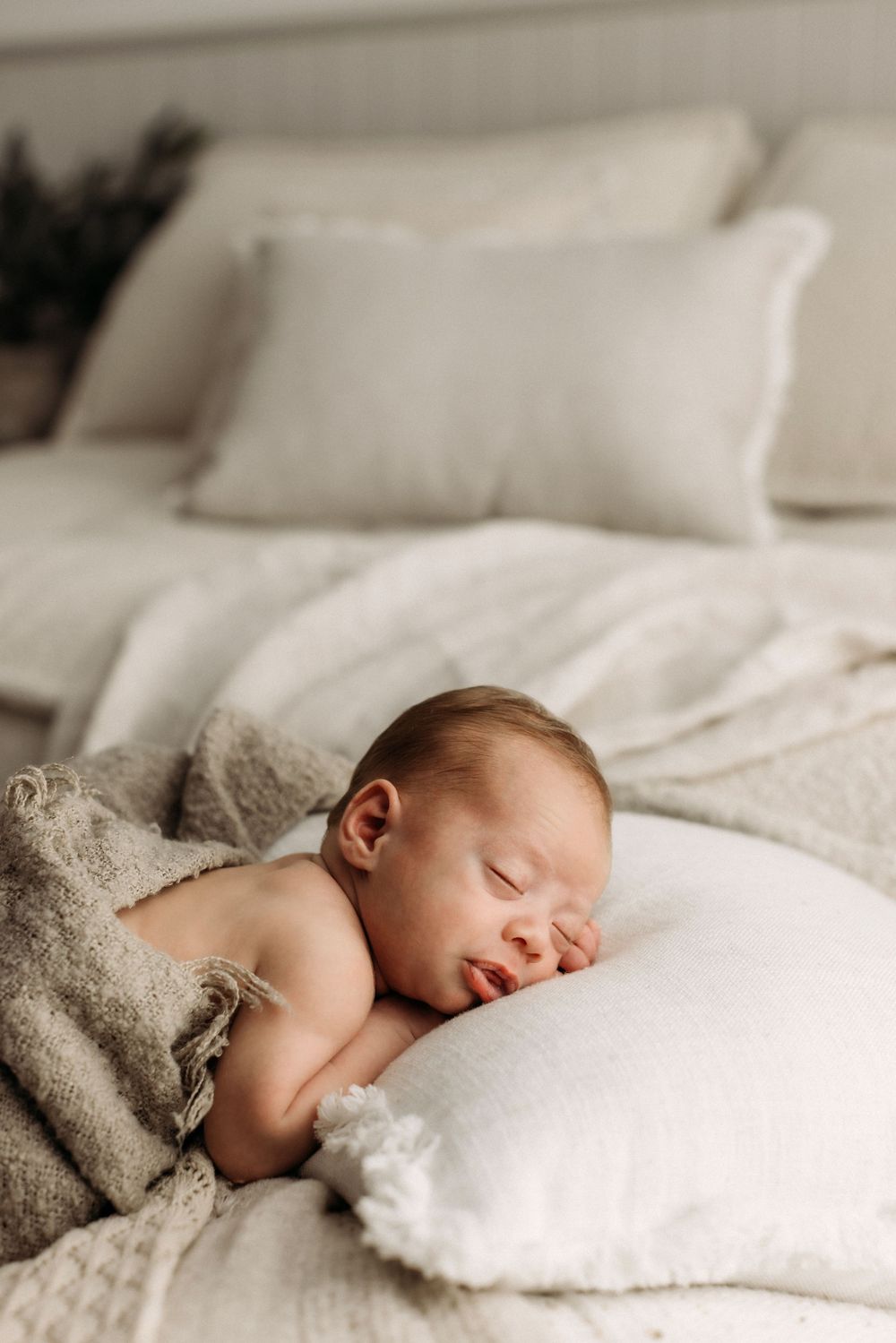 Studio Newborn Photographer Gold Coast