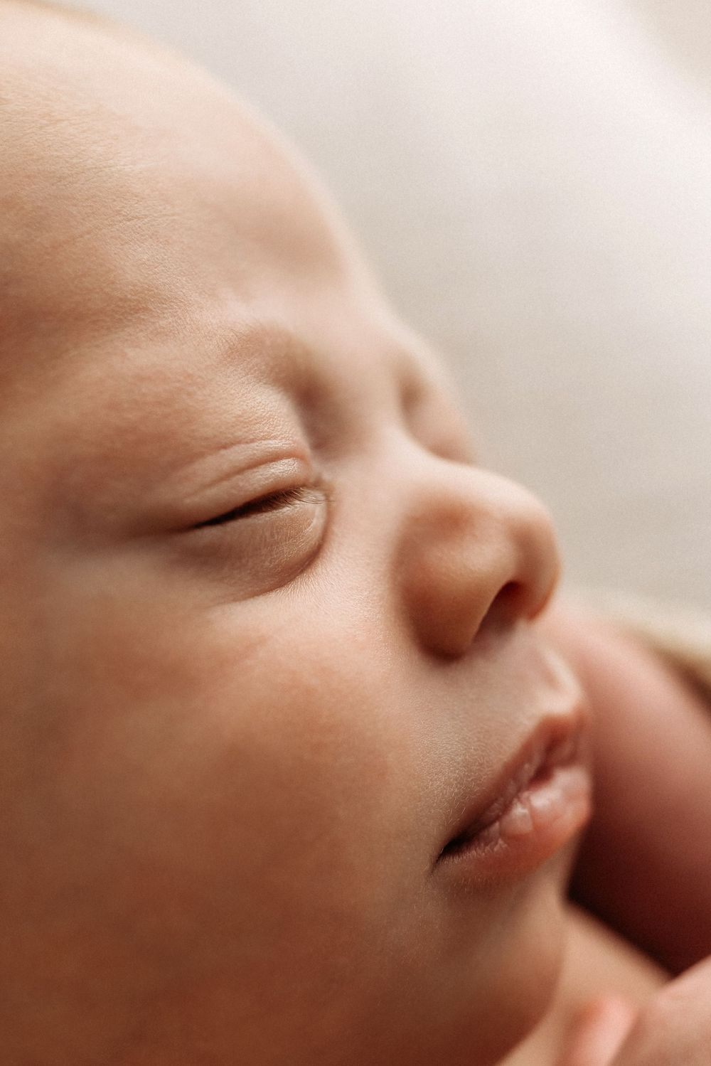 Studio Newborn Photographer Gold Coast