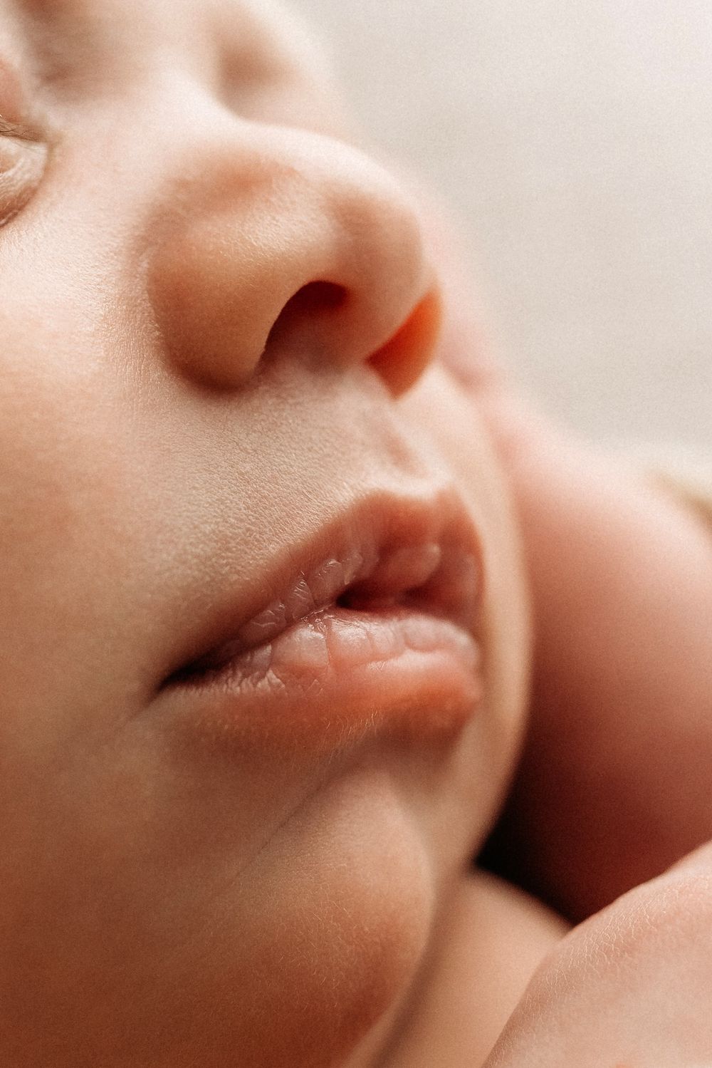Studio Newborn Photographer Gold Coast