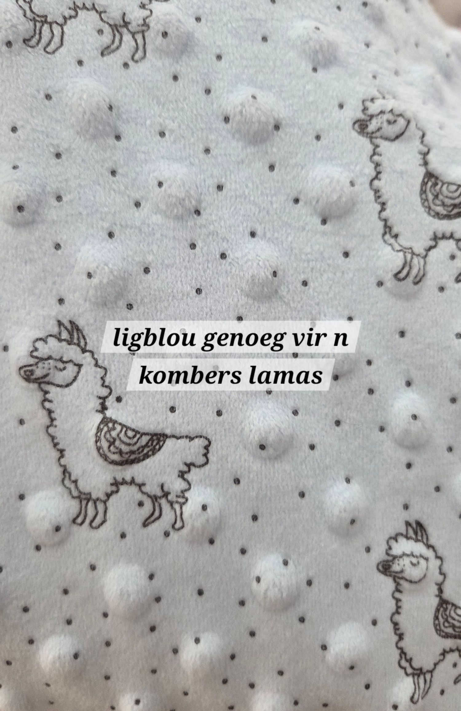 Light blue minky dot fabric with llama print pattern, soft textured blanket material perfect for baby blankets.