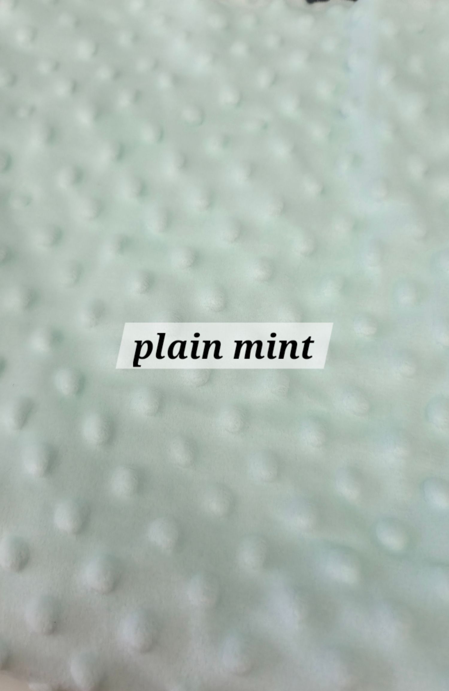 Close-up of plain mint green dimple dot minky fabric with a soft, textured surface.