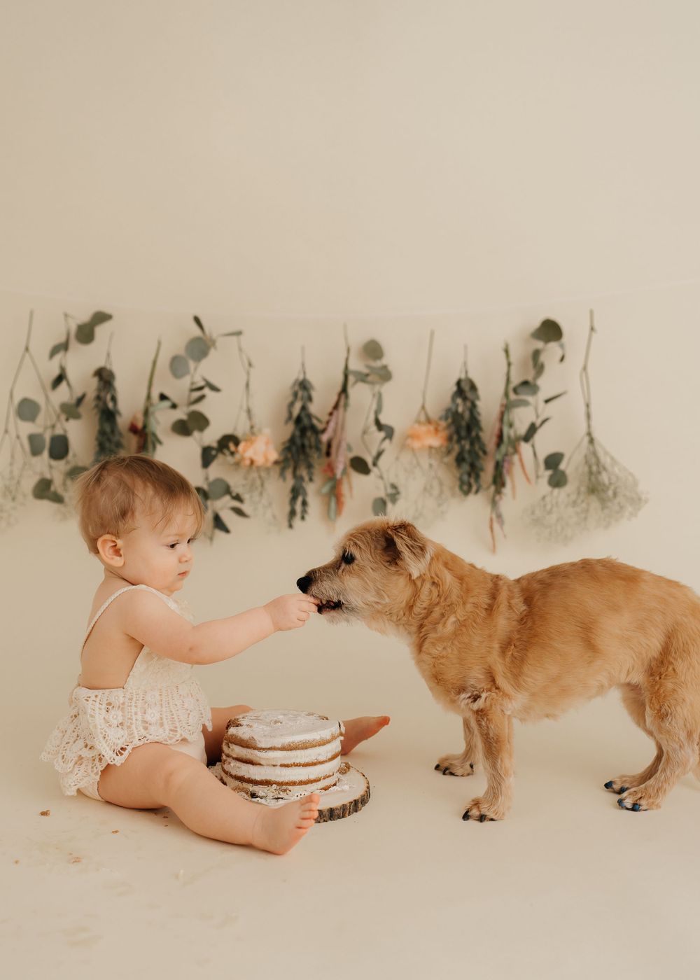 Sweet interaction between baby in lace outfit and brown dog near decorated cake setting.