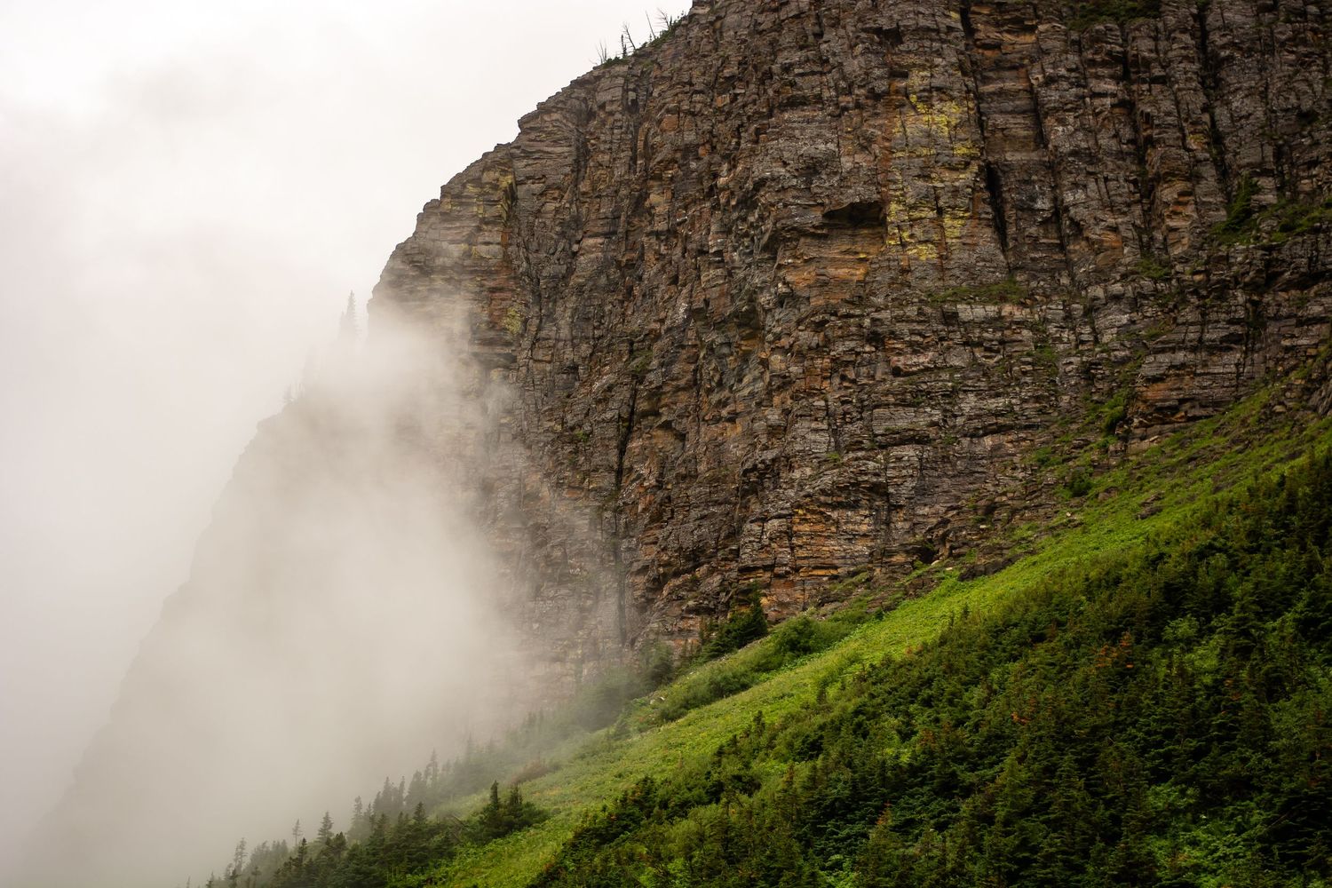 Steep rocky cliff face emerges from fog with green slopes below.