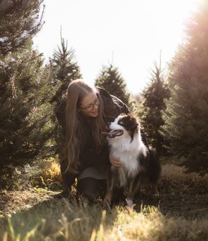 A sweet moment between an Australian Shepherd and companion amid evergreen trees.