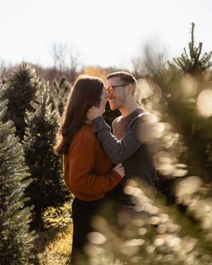 Couple embracing in a Christmas tree farm with sunlit bokeh effects.
