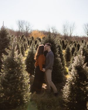 Silhouetted couple walking through rows of pine trees at a Christmas tree farm.