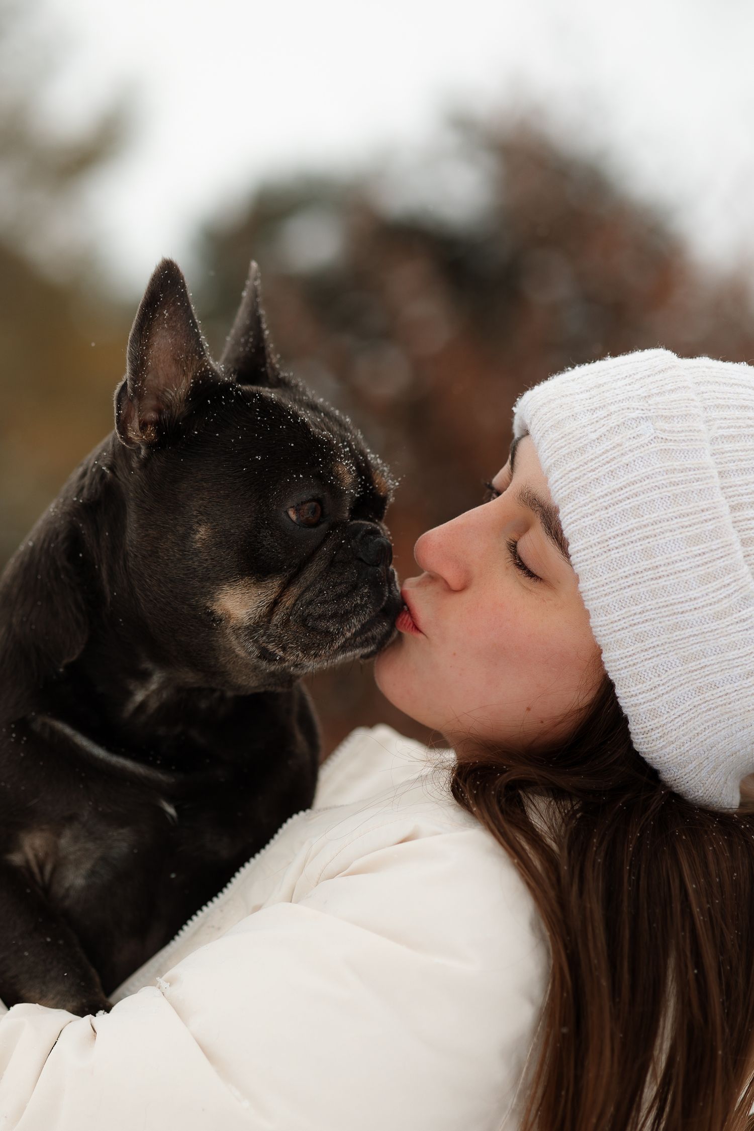 Close up of French Bulldog getting a kiss in winter setting.