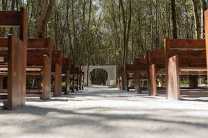 Panoramic view of a woodland path with trees and rustic wooden structures.