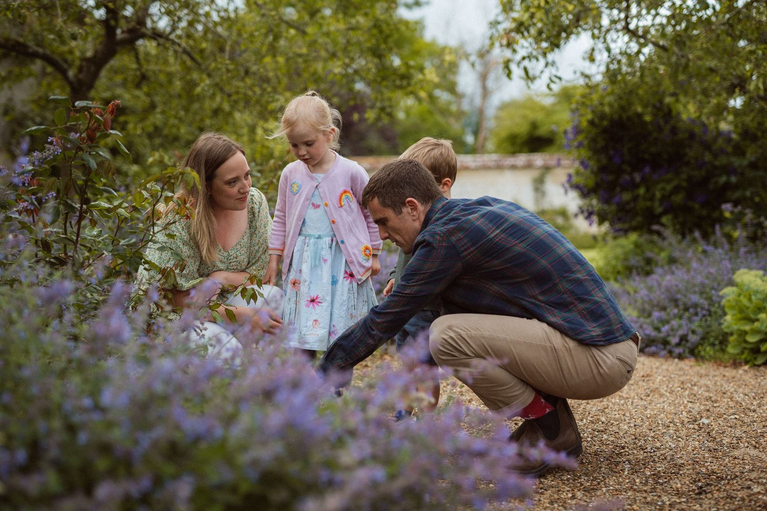 Family explores lavender garden together on a gravel path during a sunny afternoon.
