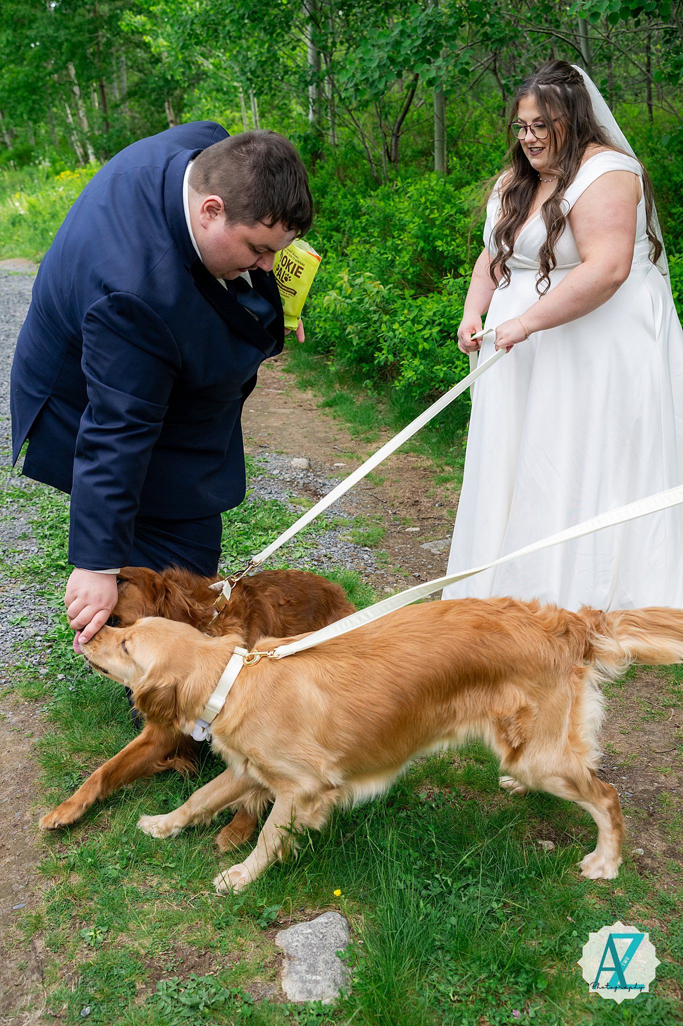 A couple in wedding attire walks their happy golden retriever on a leash outdoors in a lush green setting.