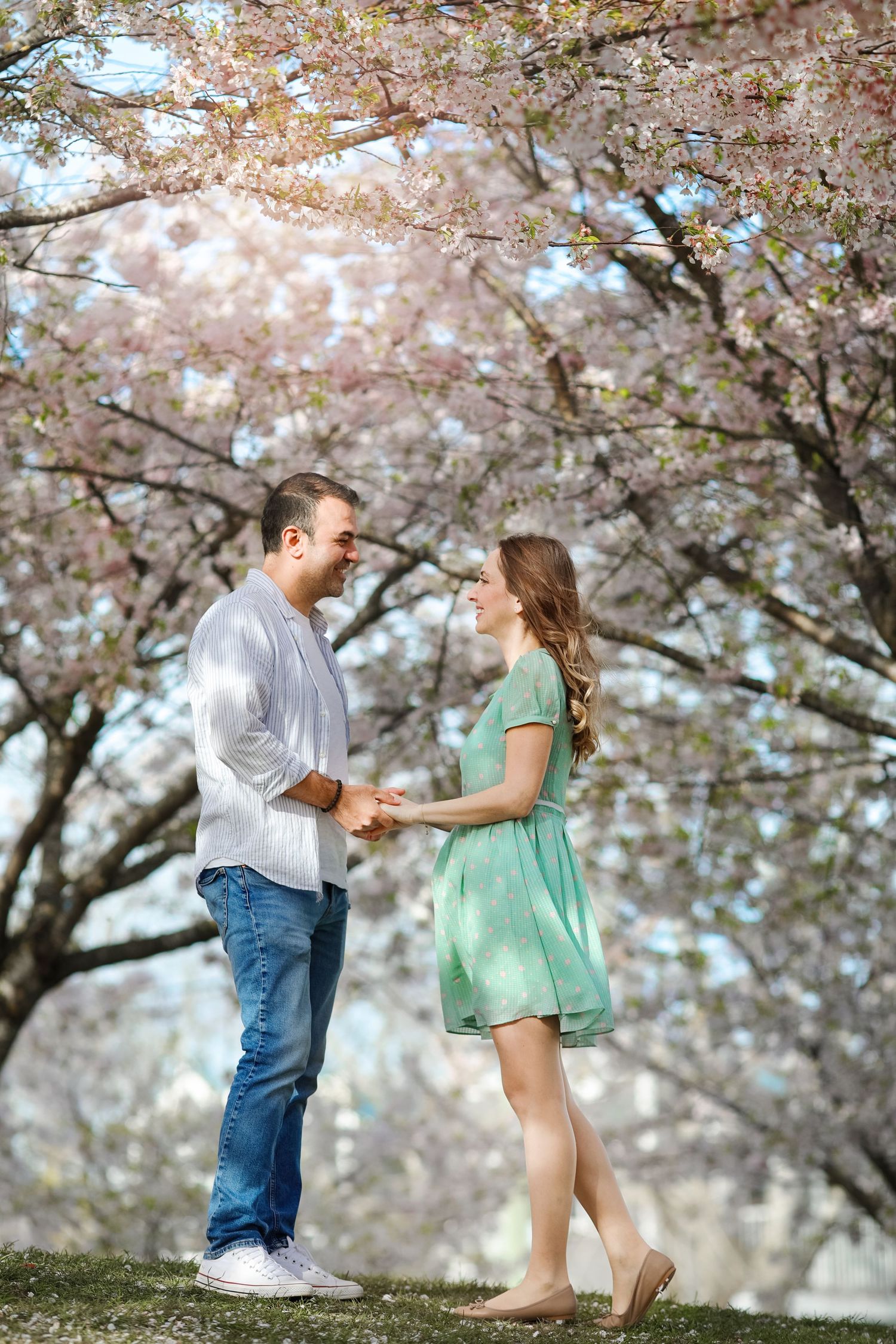 Two people sharing a tender moment under blooming cherry blossom trees on a spring day.