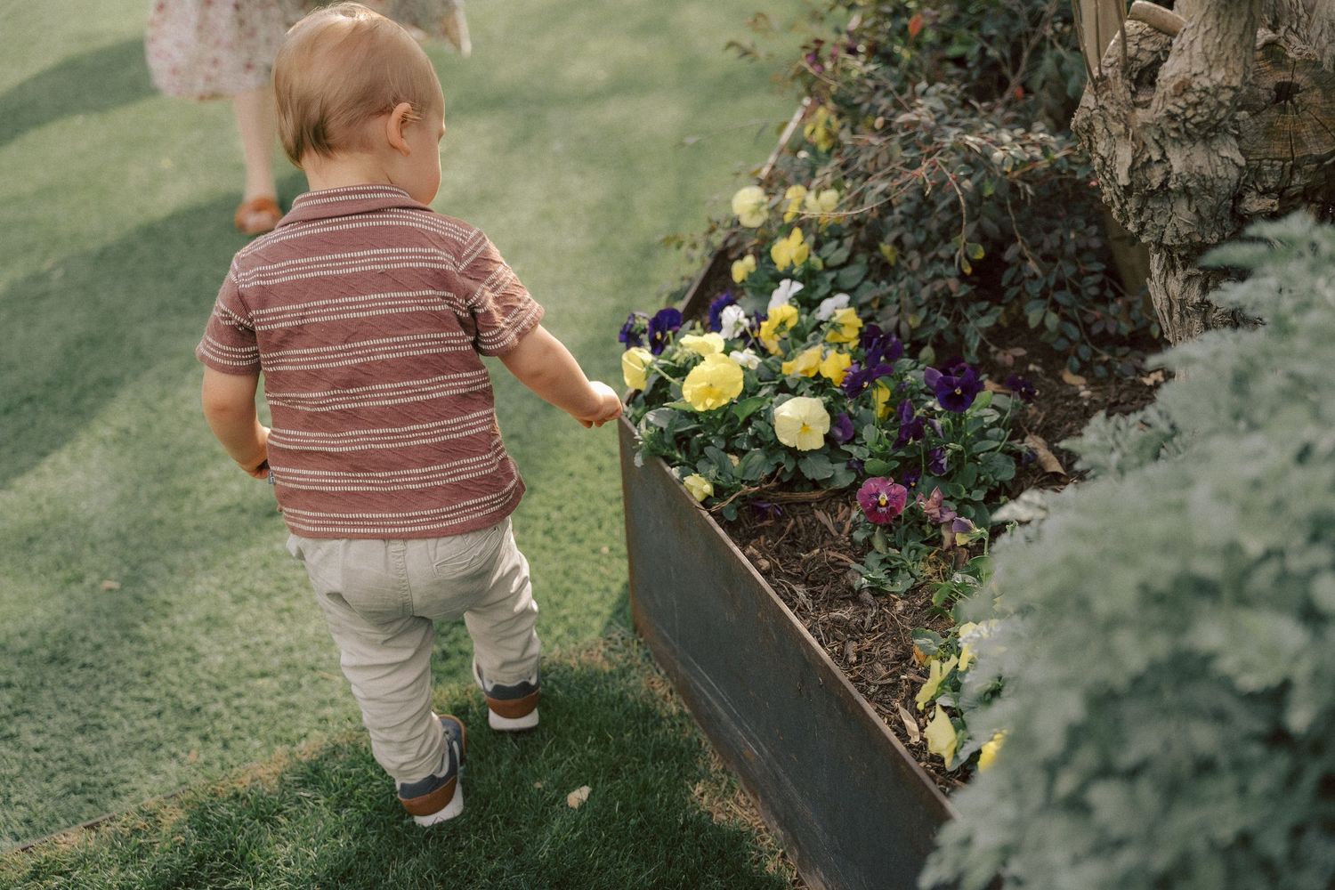 Young child in striped shirt explores colorful garden bed with yellow and purple flowers in backyard.