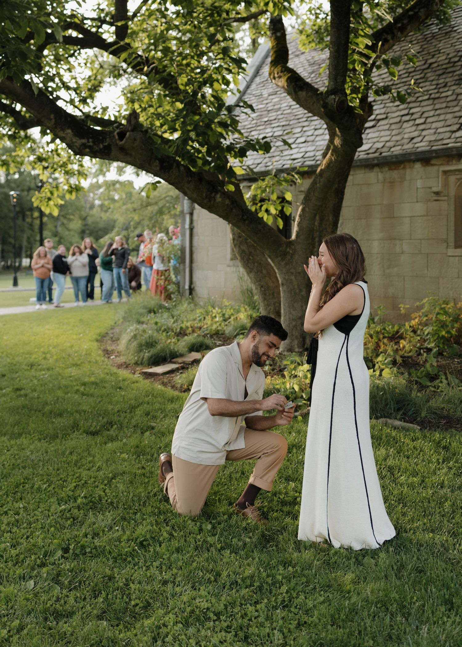 A couple sharing a sweet proposal moment under a tree while friends watch in the background at sunset.