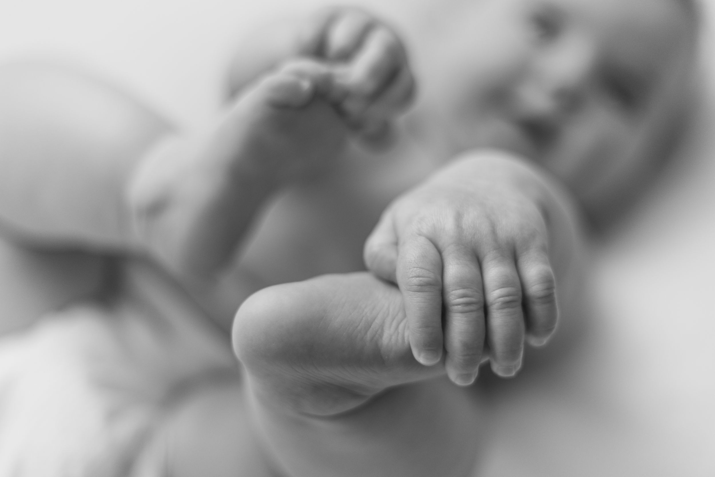 Close-up black and white detail shots of tiny baby hands and feet.