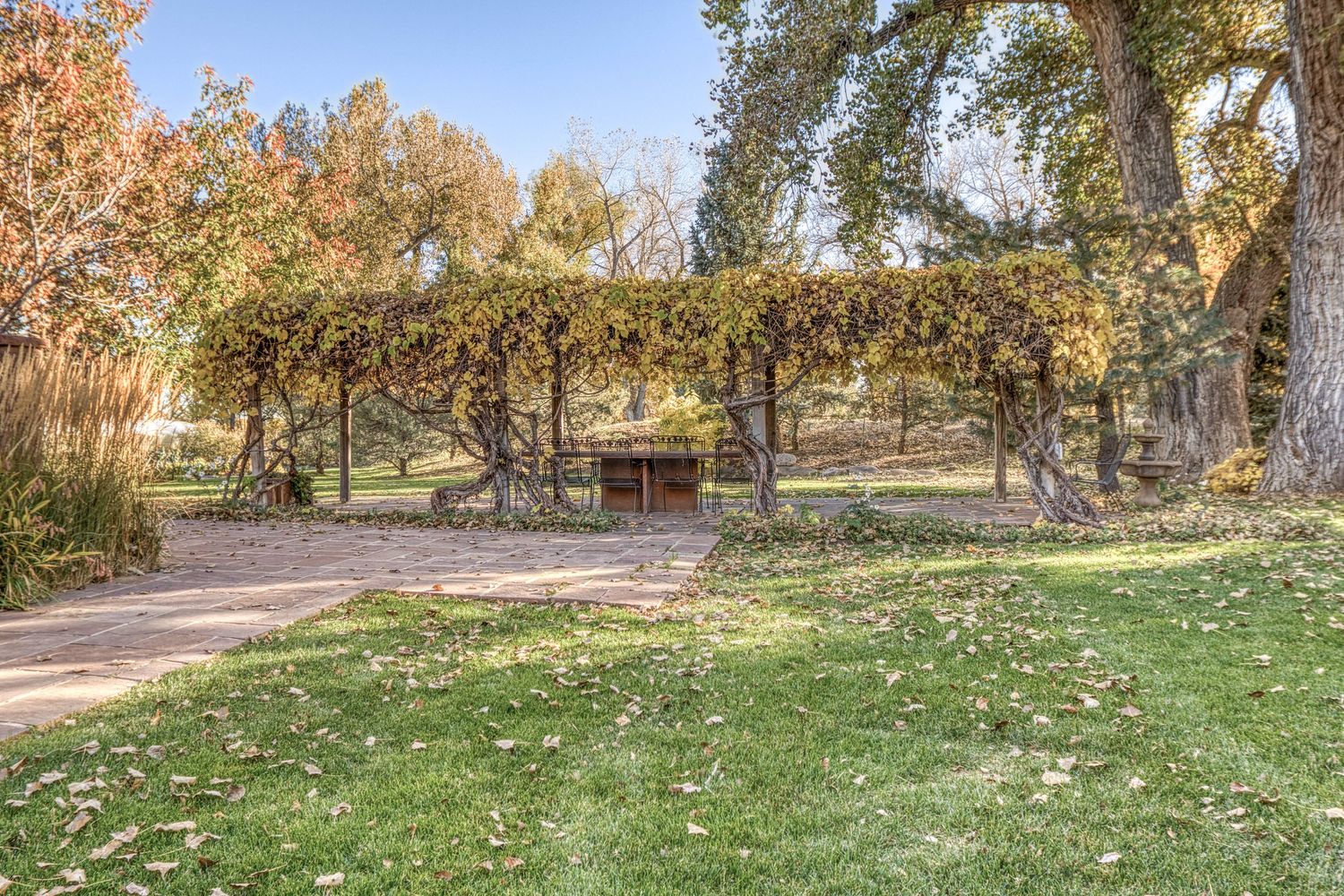 Outdoor picnic area  sample #2