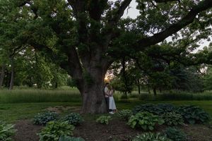 A couple poses against a majestic old tree trunk in a serene garden landscape.
