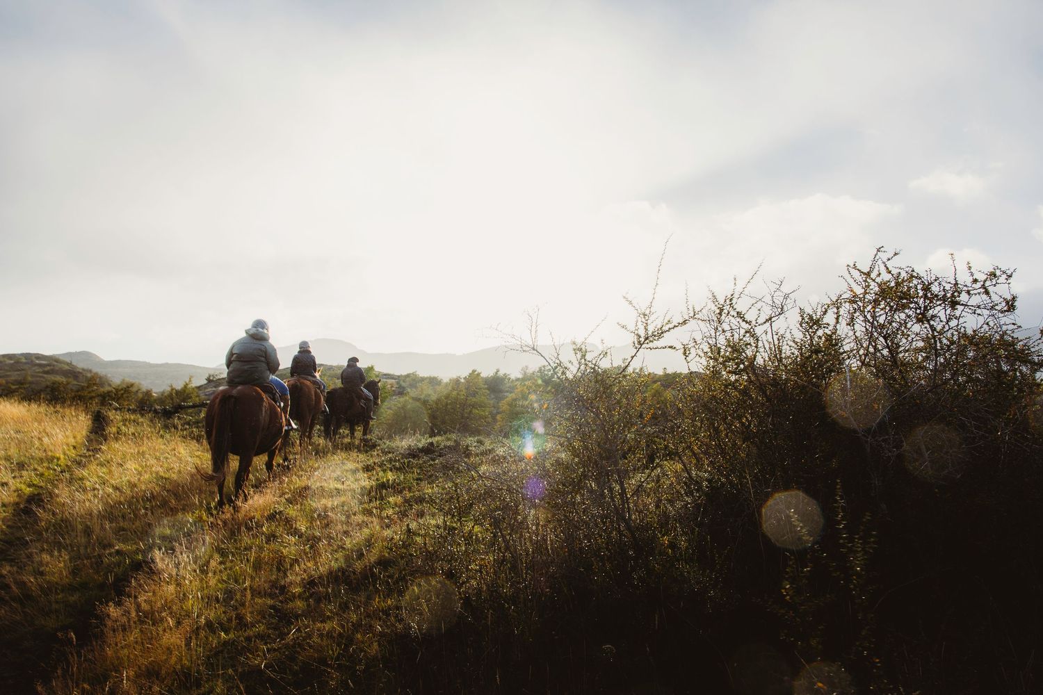 Horseback riding at Torres del Paine Patagonia, Chile