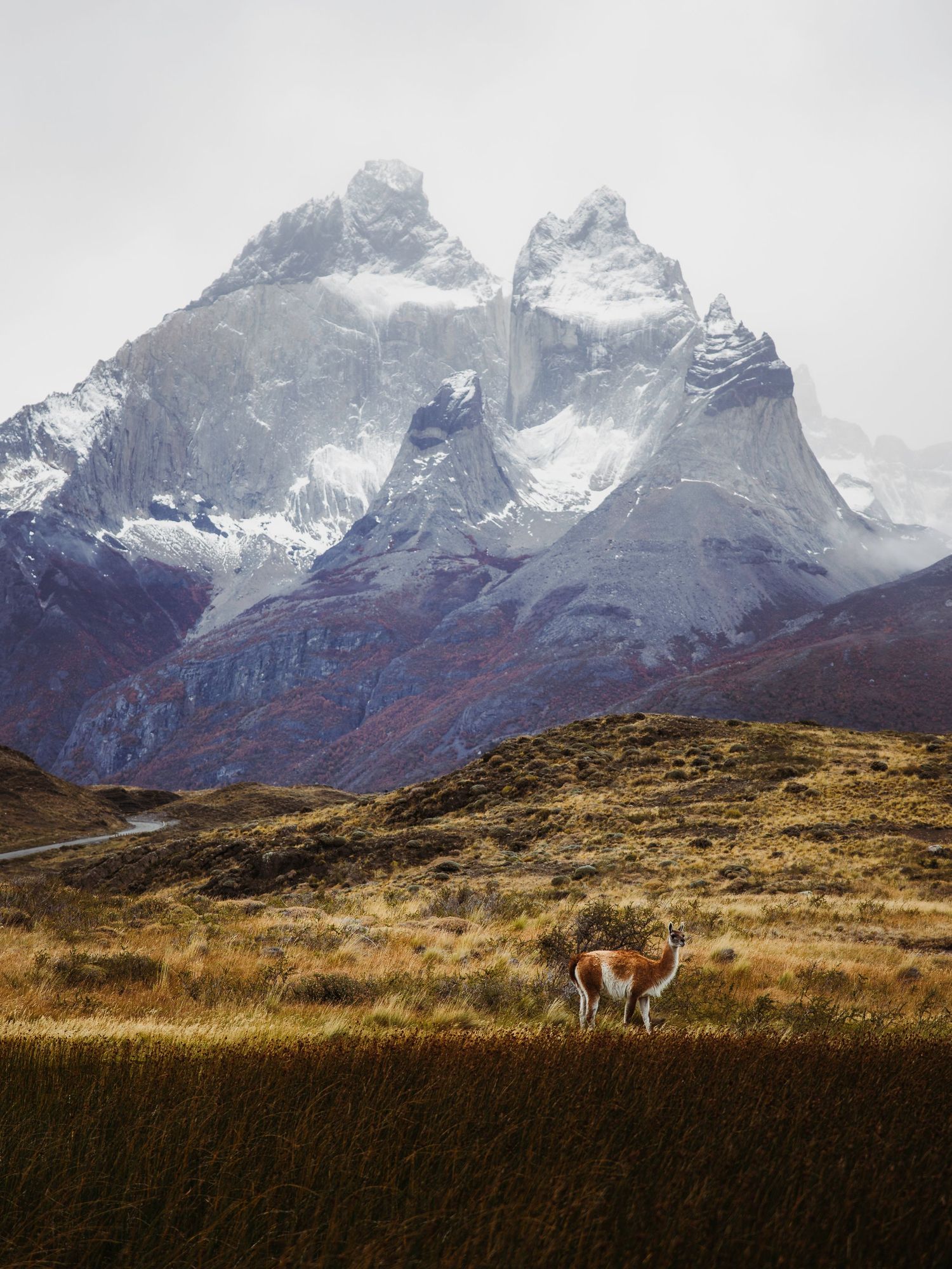 Torres del Paine Patagonia, Chile
