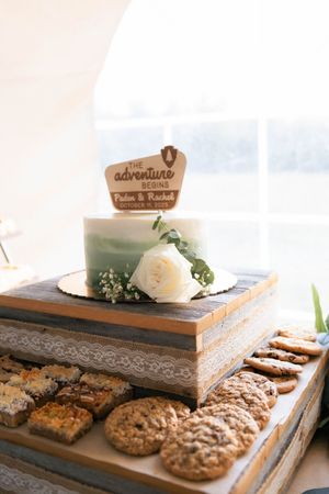 National park wedding cake detail photos in Springfield, Illinois