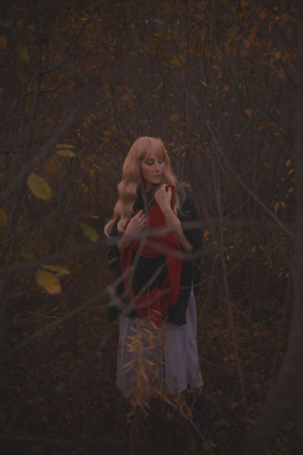 Moody forest portrait captures figure in flowing dress amid dark autumn foliage.