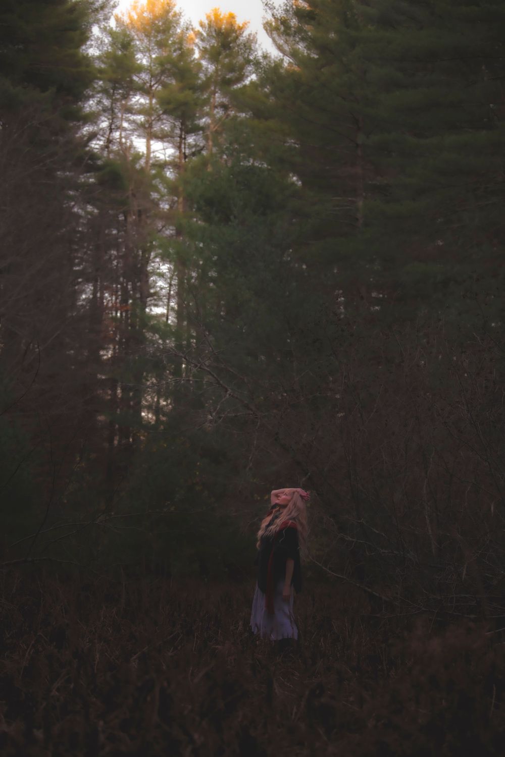 Silhouetted figure stands among tall pine trees at sunset in atmospheric forest scene.
