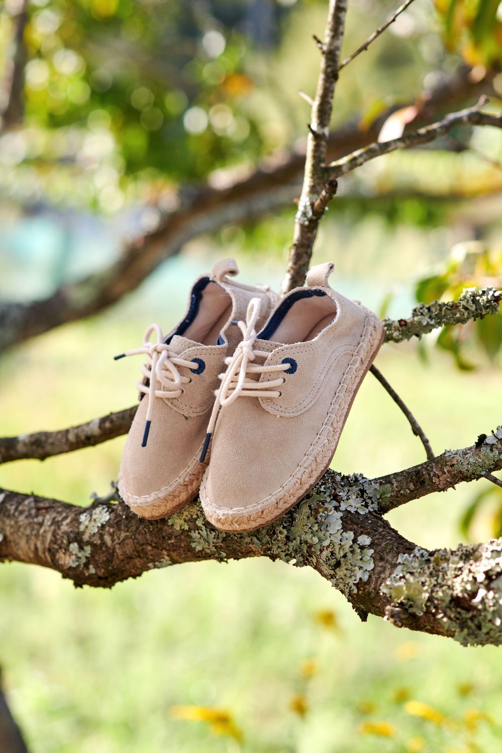 A pair of beige suede lace-up espadrille shoes balanced on a sunlit tree branch outdoors.