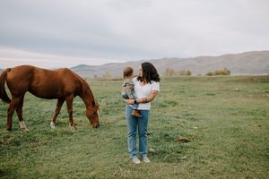Horses grazing in mountain meadow while person stands nearby in casual attire.