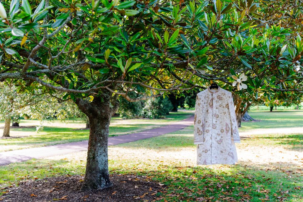 White-painted tree trunks in a landscaped garden with lush green foliage and scattered fall leaves on the ground.