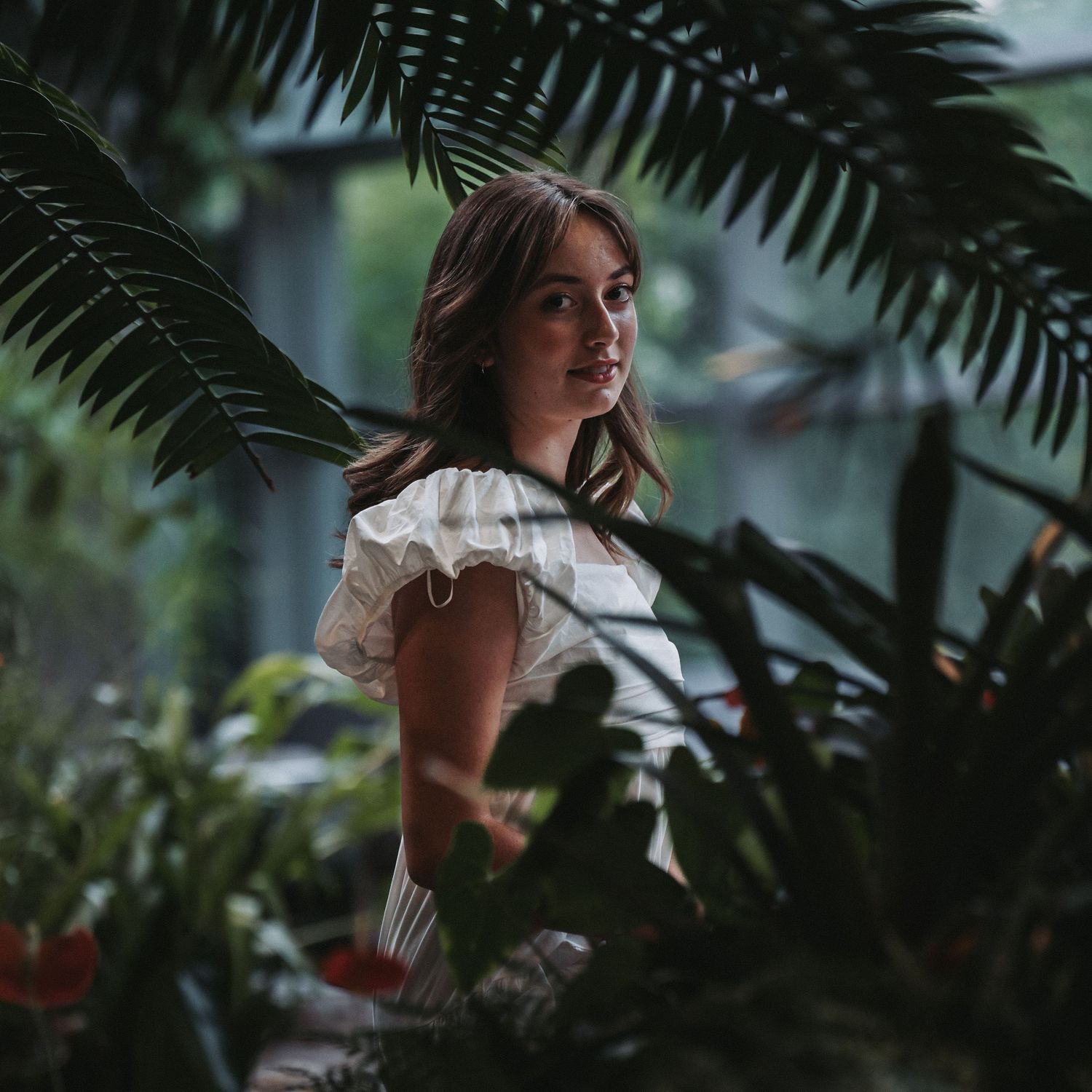 Silhouetted fern fronds frame a soft, natural light portrait.