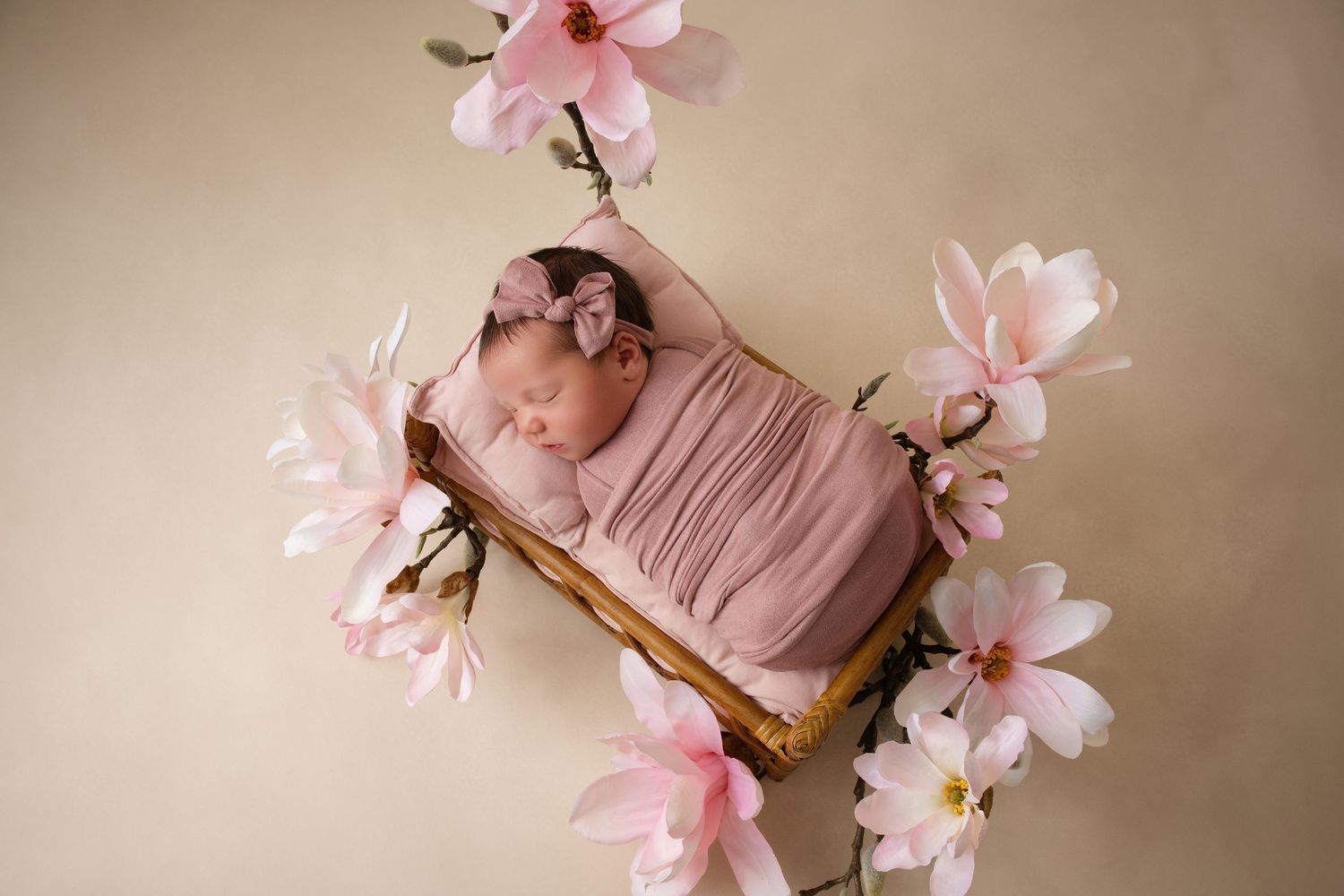 Newborn photography with purple tones and dried floral arrangements.