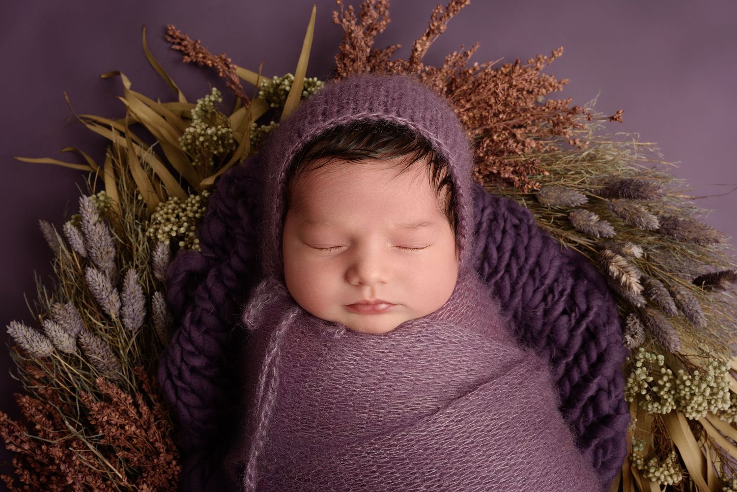 Newborn photography with purple tones and dried floral arrangements.