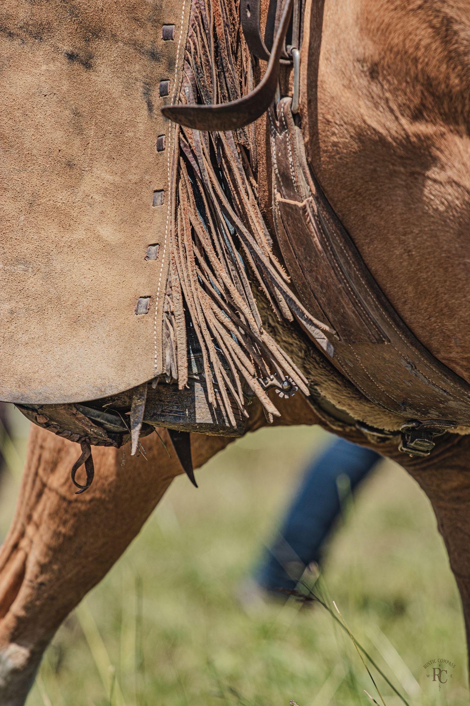 The weathered fringe of a good set of chaps on horseback
