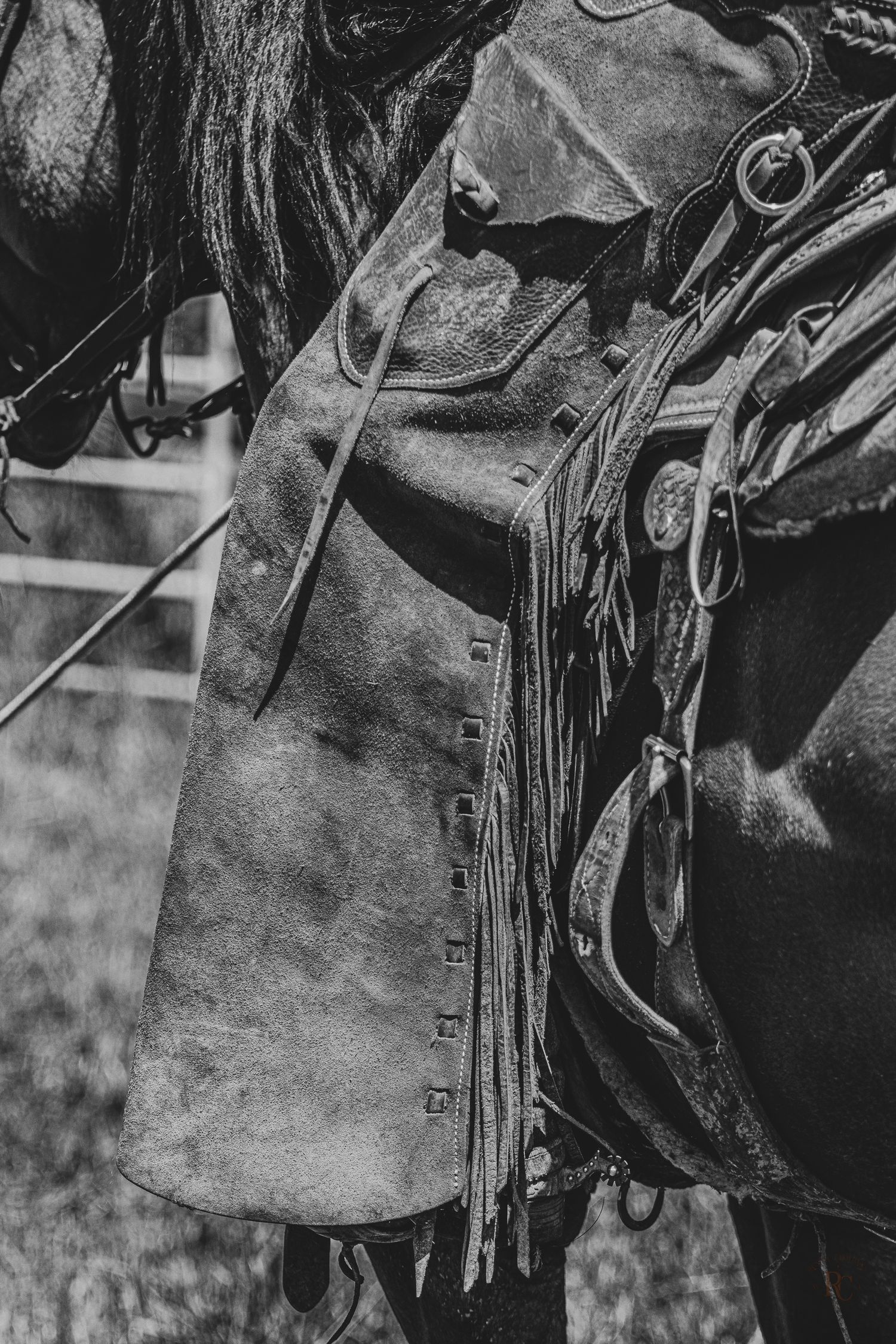 Close-up black and white photo of worn leather chaps with decorative stitching and traditional western details.