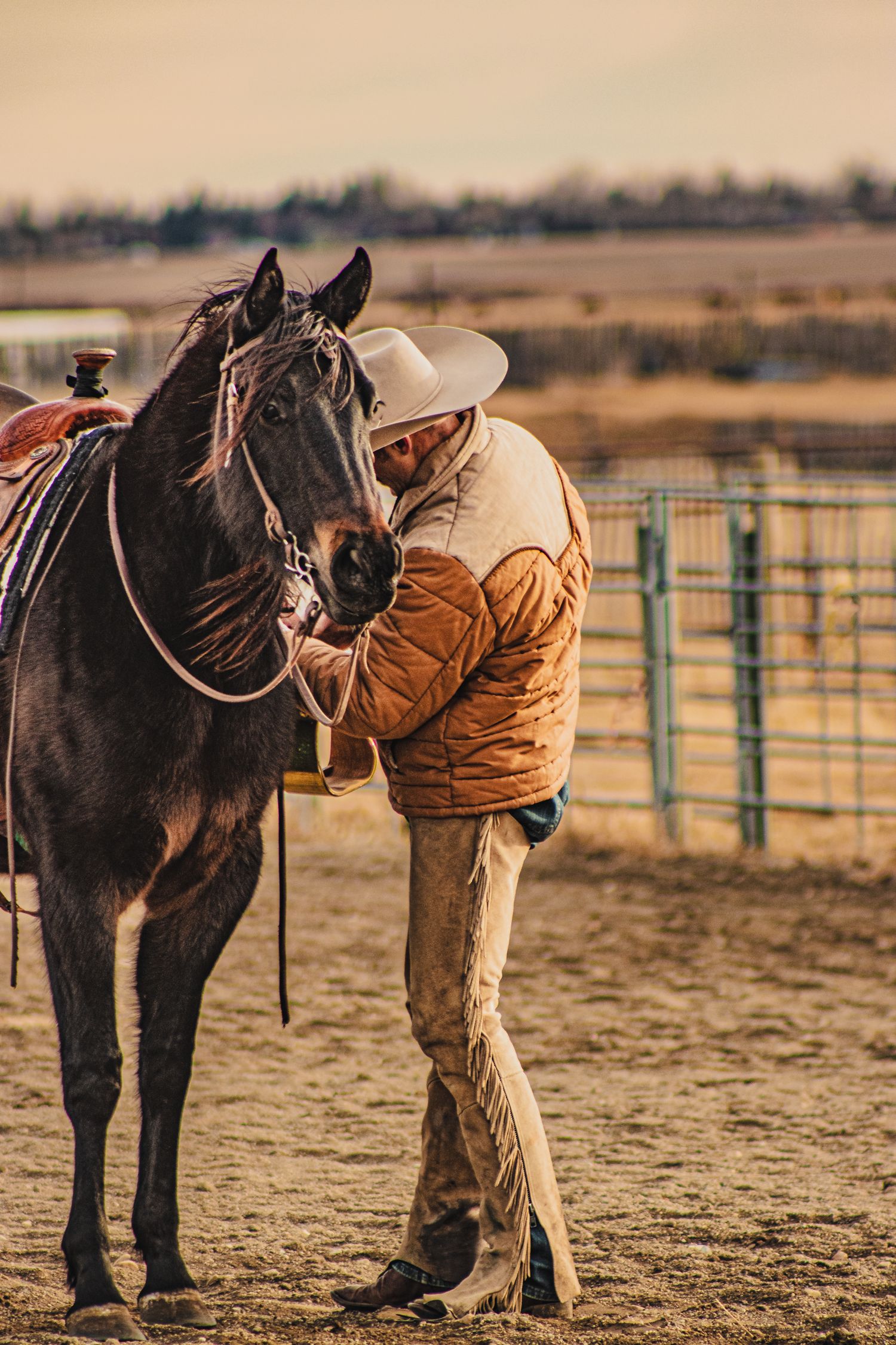 A cowhand inspects a dark horse's saddle in a dusty corral during a ride