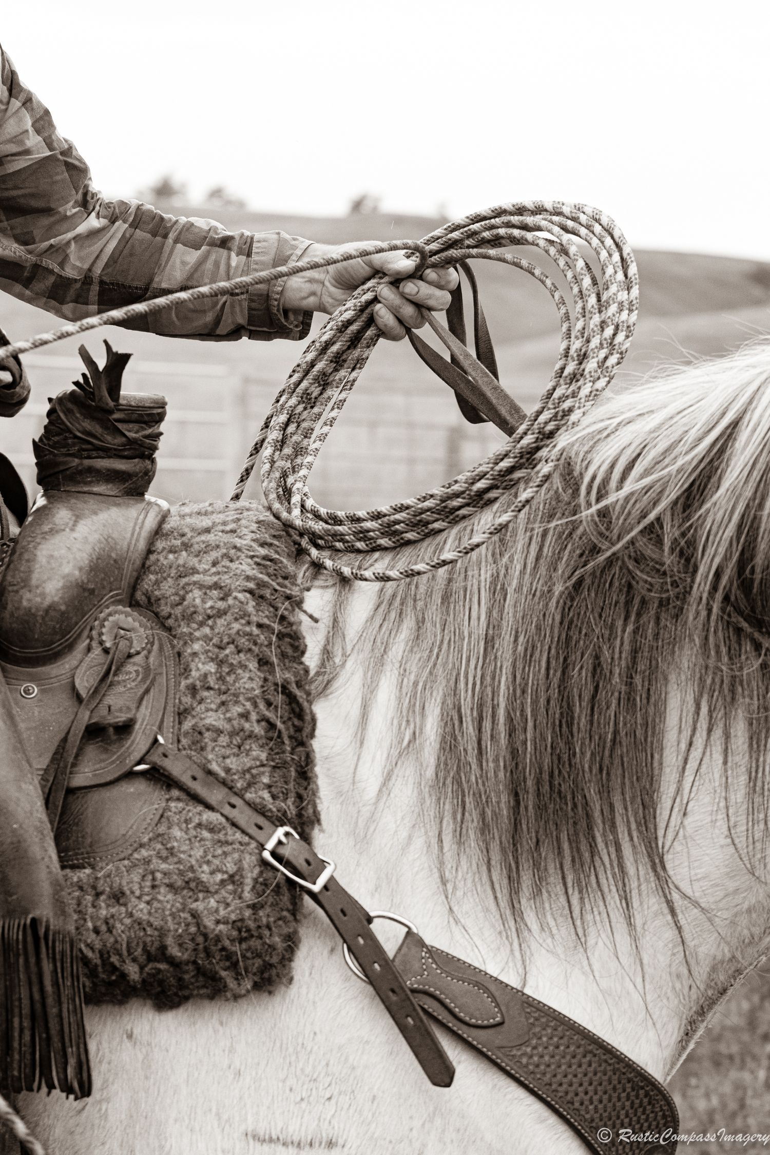 black and grey image of cowbboy prepping is loop on a grey horse