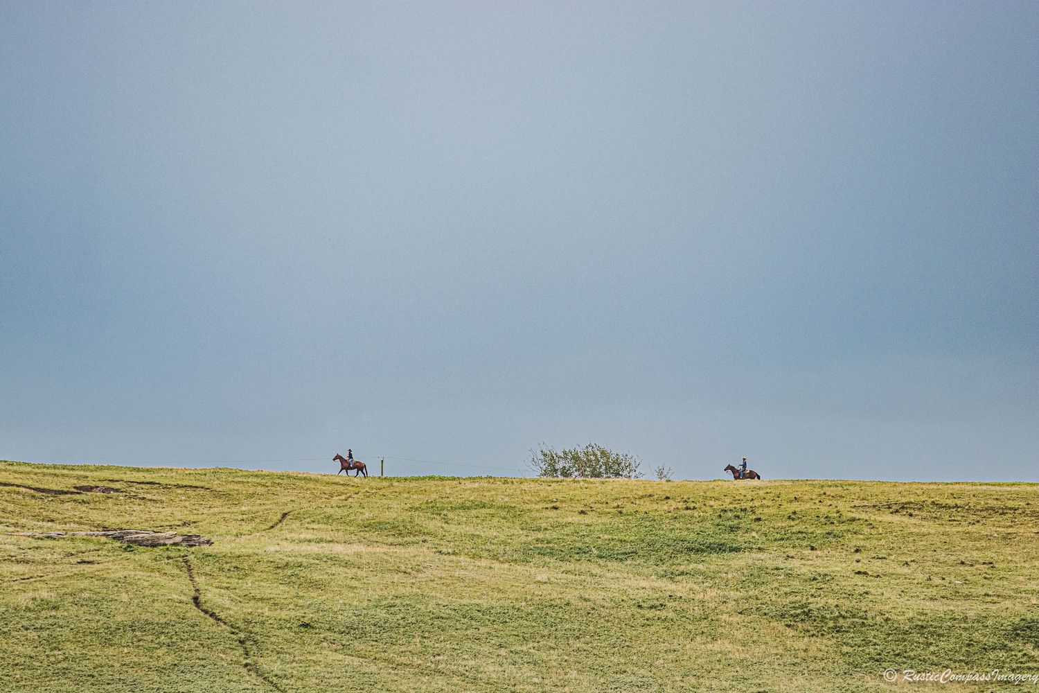 Two horses and riders traverse a scenic hilltop ridge line against a blue sky and grassy meadow landscape.