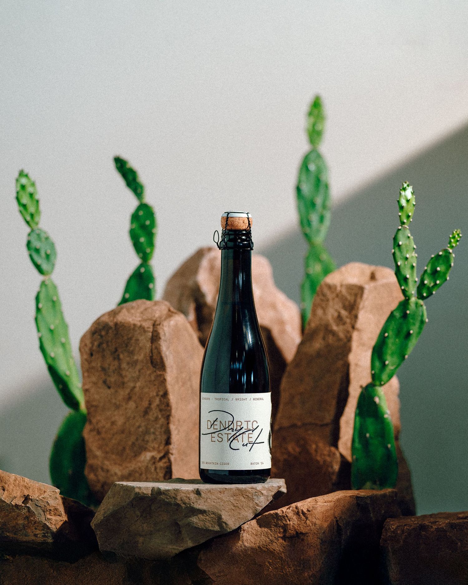 Dark glass bottle placed on brown rocks with green cactus plants in the background against a neutral wall.