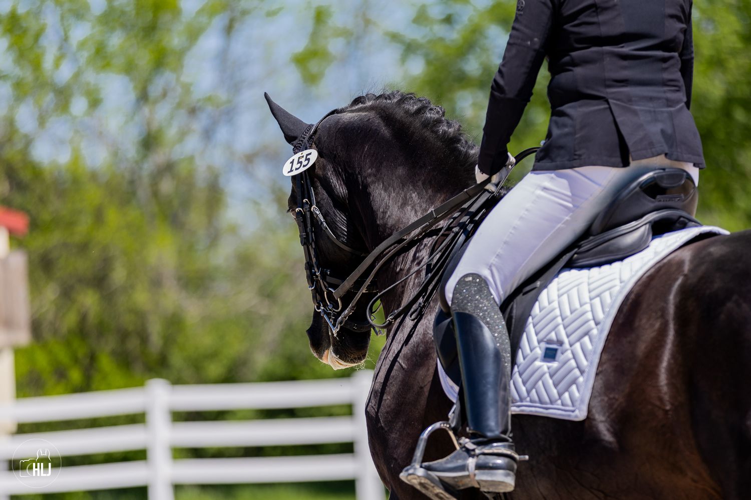 A rider practices dressage on a dark horse in an arena while an instructor observes from the side.