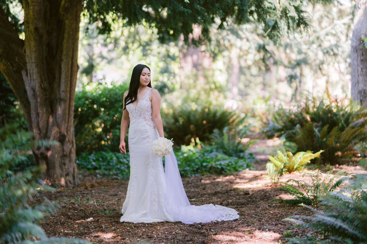 A sunlit garden portrait showing intricate lace details of a wedding gown.