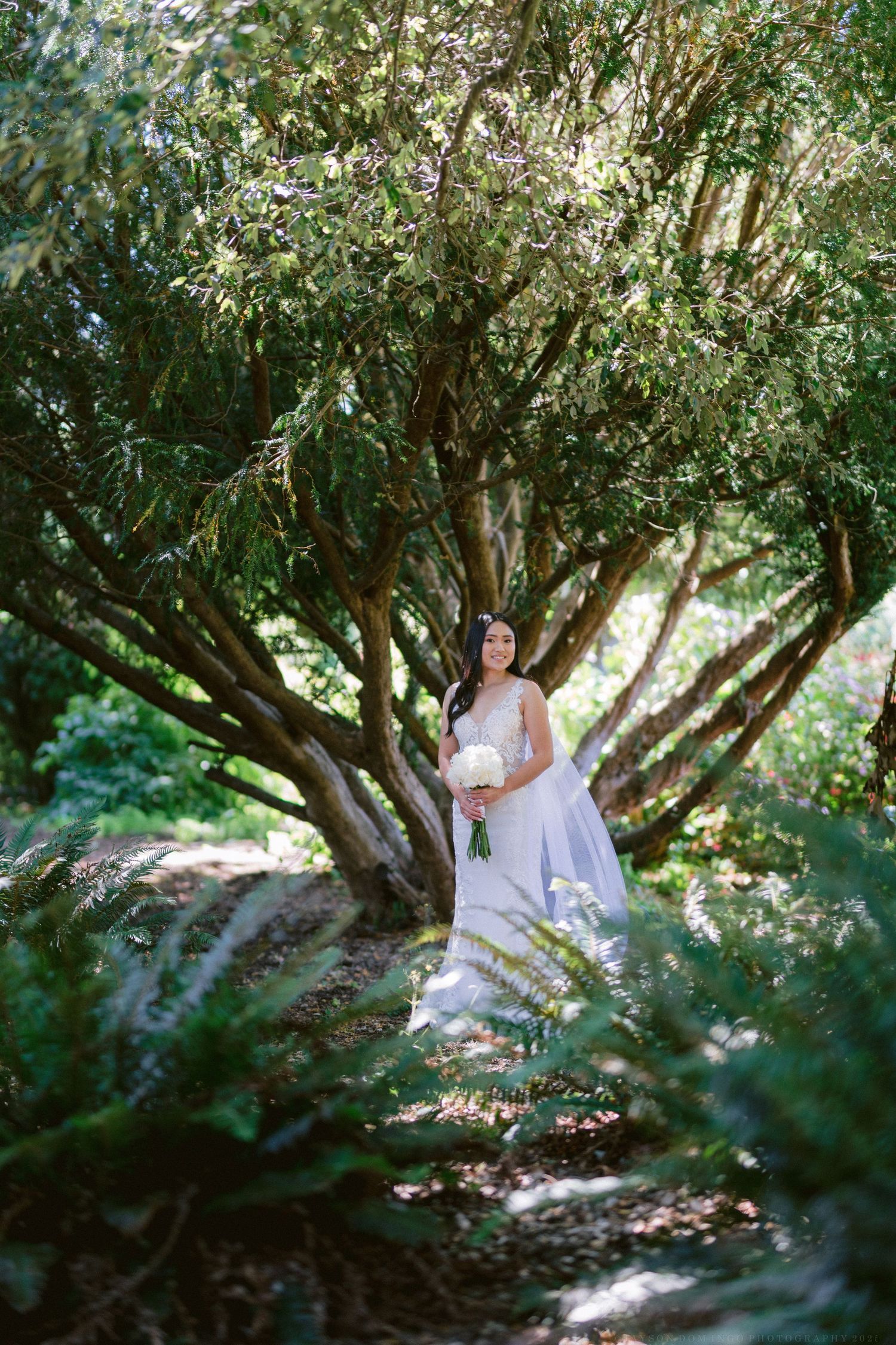 A bride in a white dress stands alone under a large spreading tree with dappled sunlight.