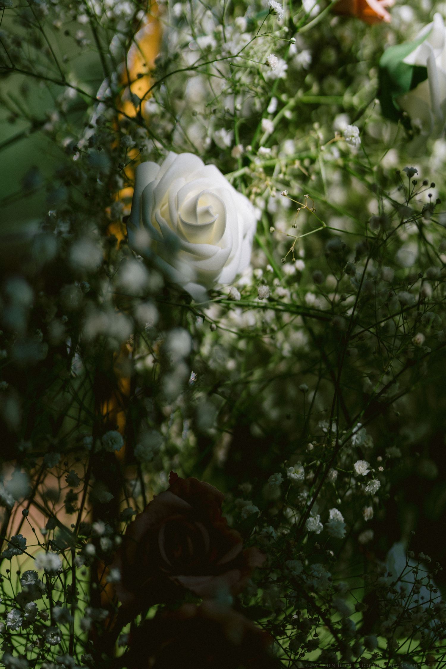 A white rose bloom nestled among delicate green foliage and baby's breath flowers in a garden setting.