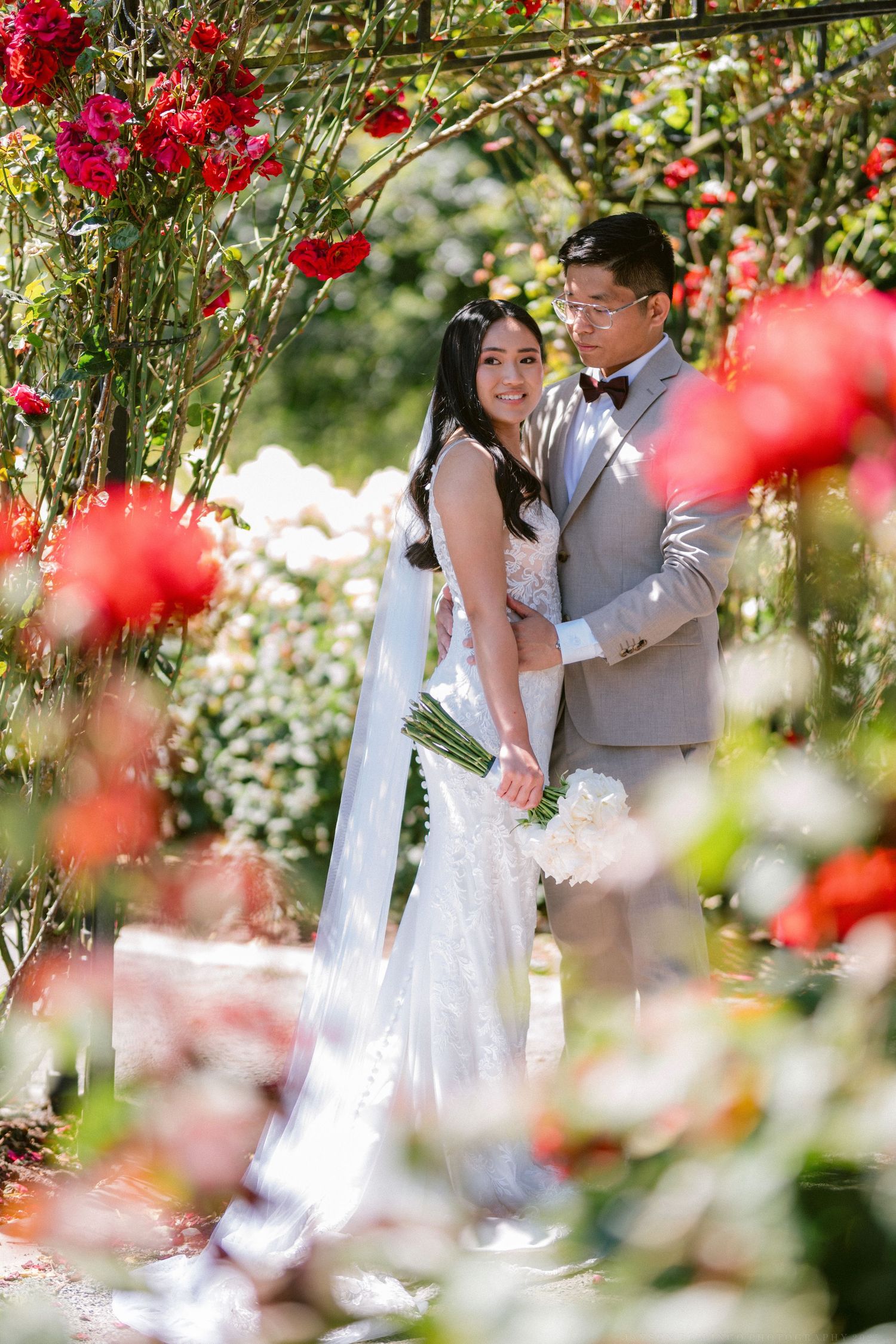 A romantic wedding photo sequence in a rose garden with vibrant red blooms framing the scene.