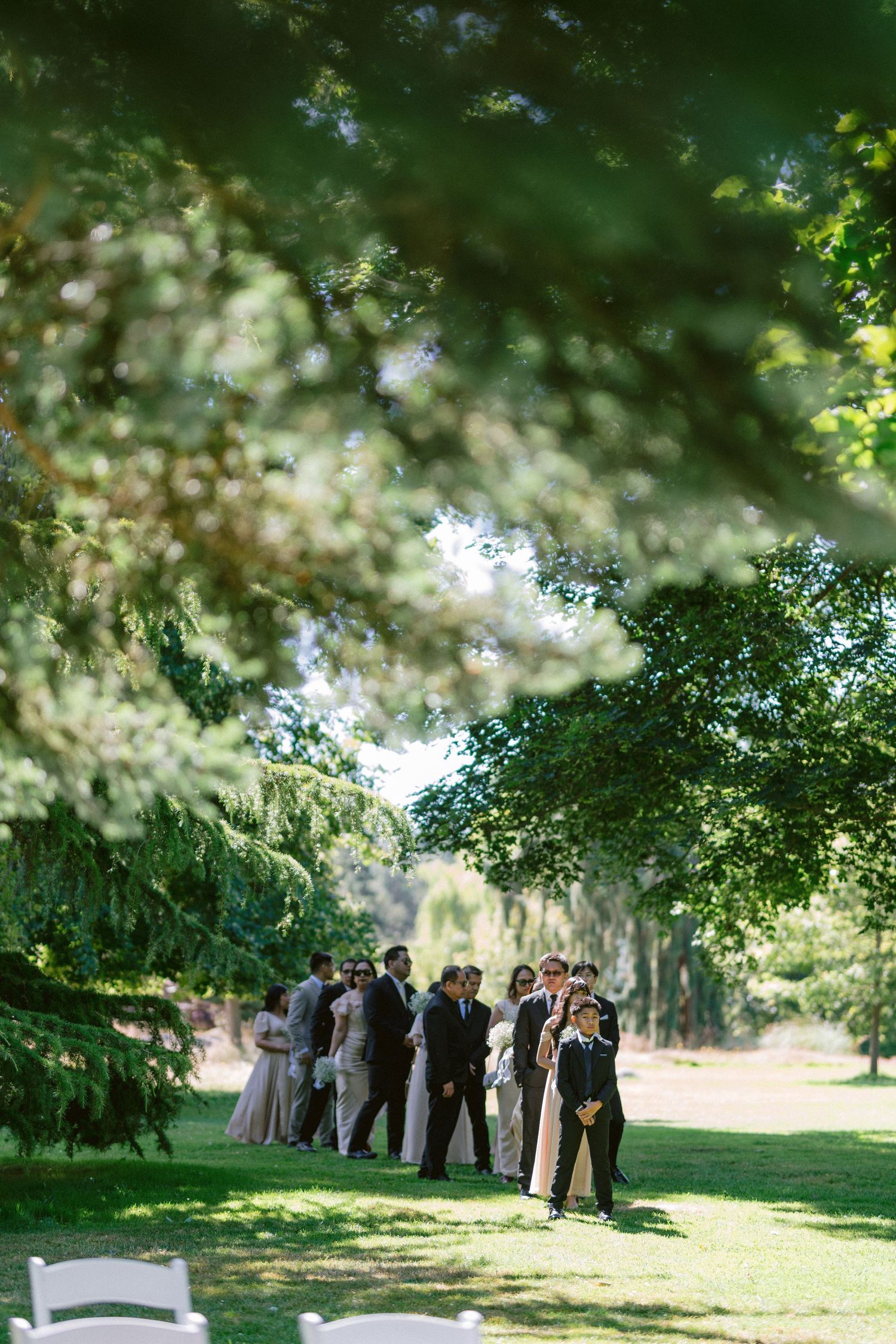 A wedding party gathers under towering trees on a sunlit lawn during an outdoor ceremony.