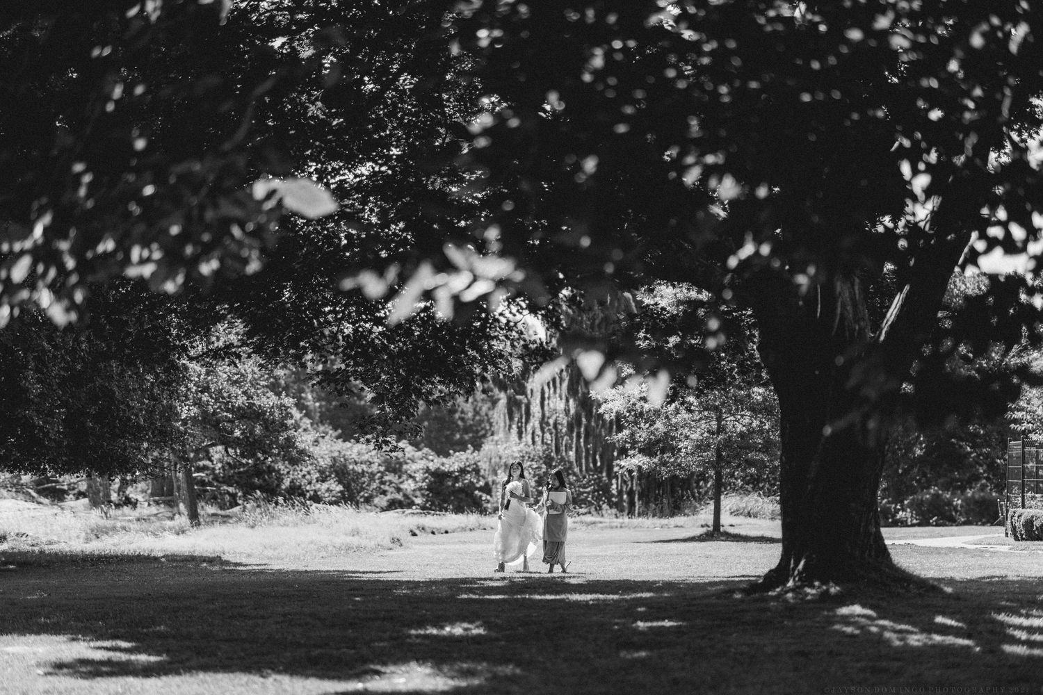 A black and white photo of two figures walking beneath a large tree in a serene garden setting.