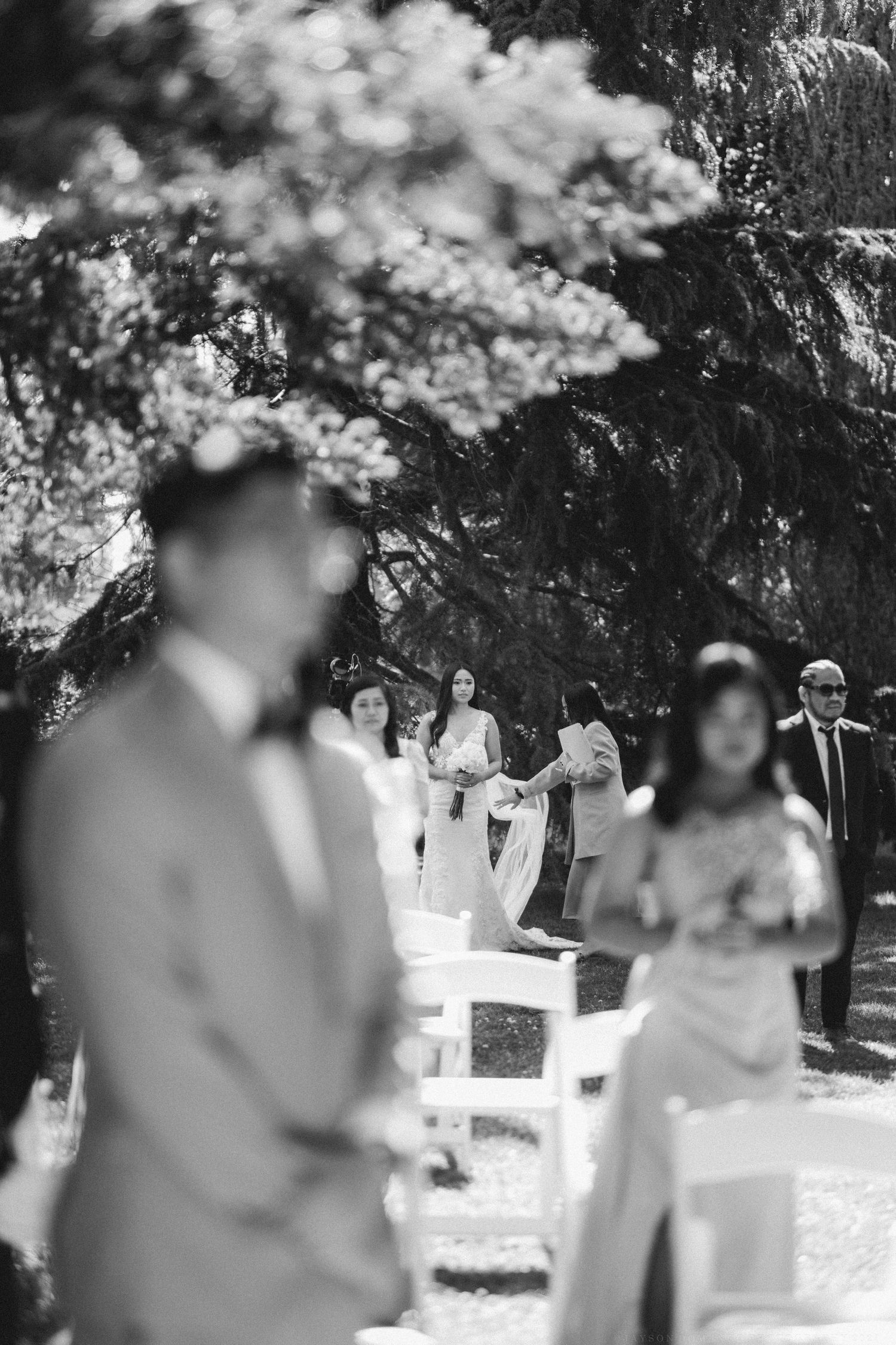 A black and white photograph of an outdoor wedding ceremony under flowering trees.