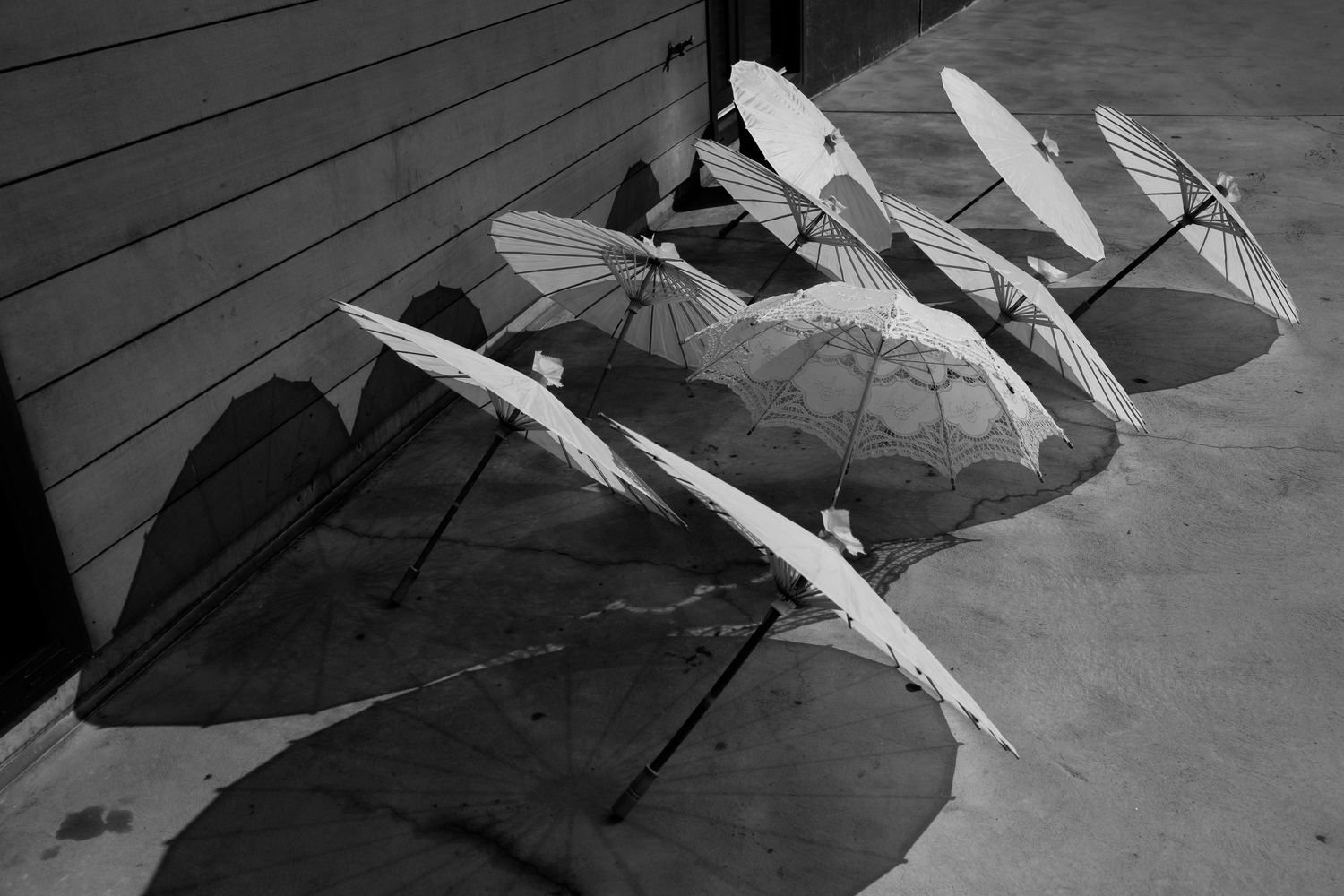A row of white parasols casting shadows on a wooden deck in black and white.