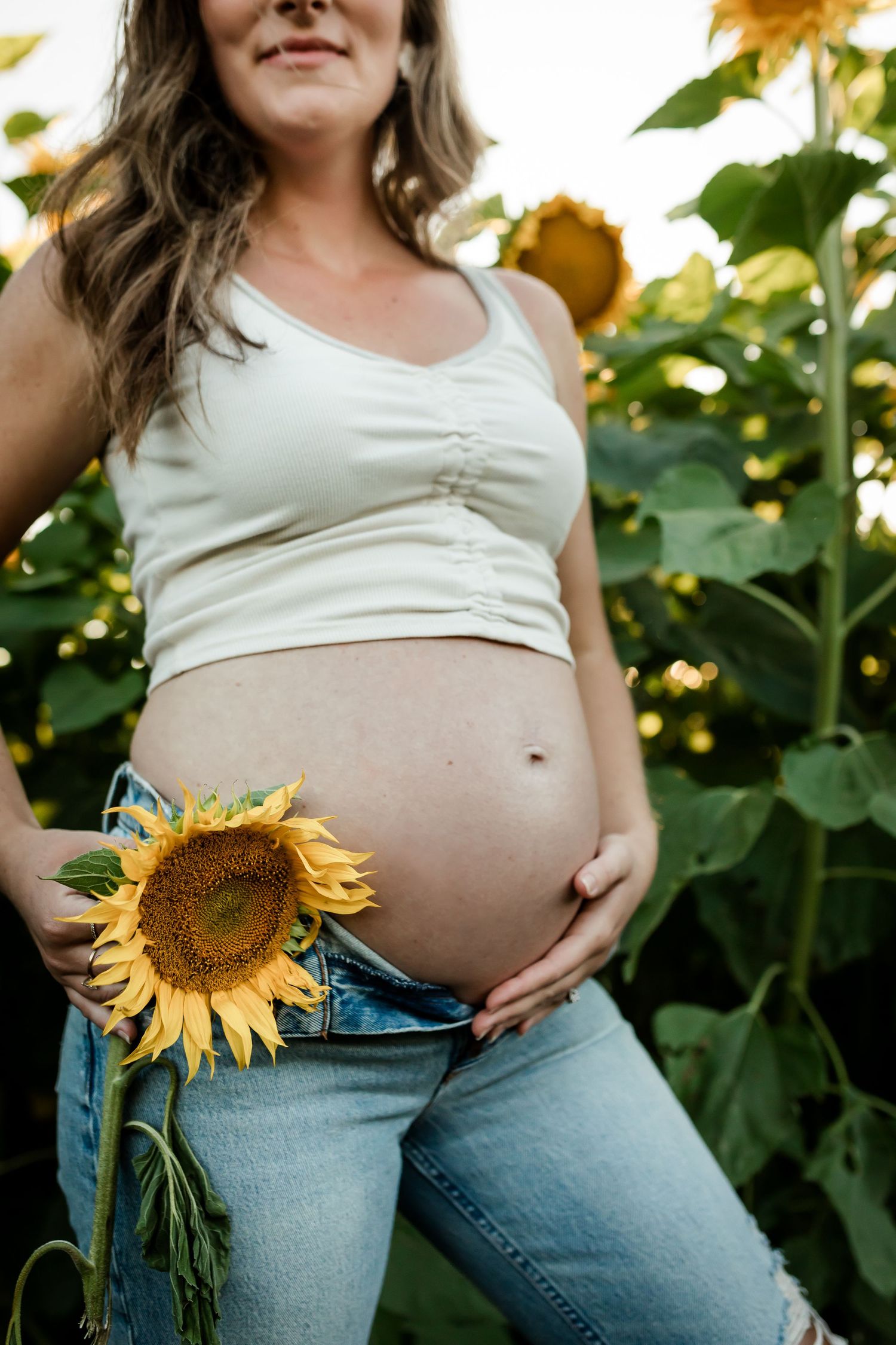 Lifestyle maternity photos in sunflower fields at Bowden SunMaze near Calgary by Love & Sunshine Photography.