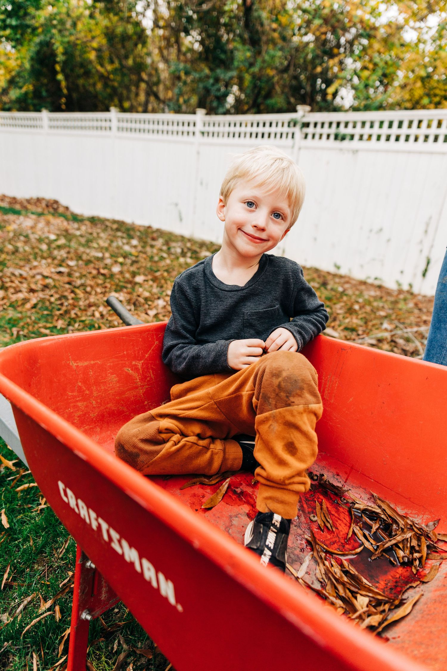 Young child sits in red Craftsman wheelbarrow filled with autumn leaves, against white fence on fall day.