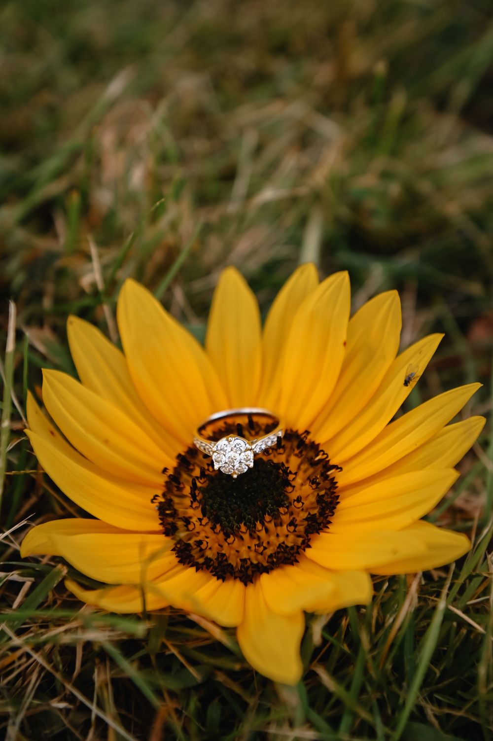 Worcester engagement photographer