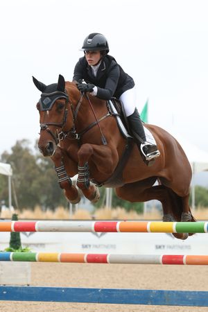 Horse and rider jumping over a fence during competition
